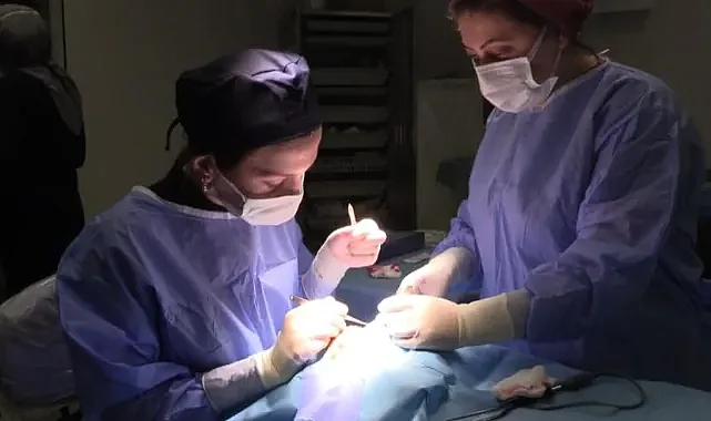 Göz Kapağı Düşüklüğü (Pitoz) nedir, nasıl tedavi edilir?