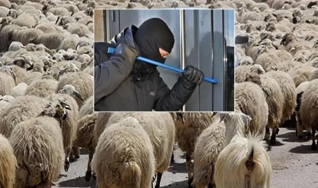 Harran’a hırsızlar dadanmış durumda