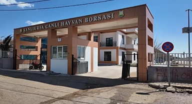 Şanlıurfa canlı hayvan borsası’na elektronik baskül