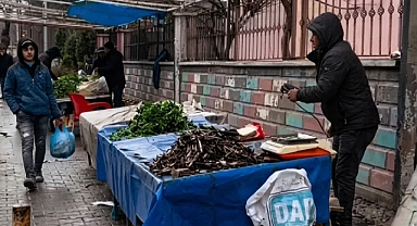 Şanlıurfa'da bahar ilk meyvesini verdi