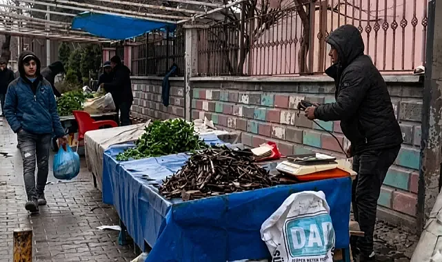 Şanlıurfa'da bahar ilk meyvesini verdi