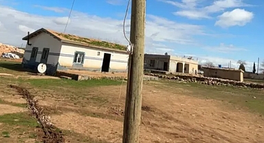 Şanlıurfa'da direği oyup kaçak hat çektiler