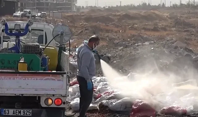 Şanlıurfa'da ilaçlama alarmı