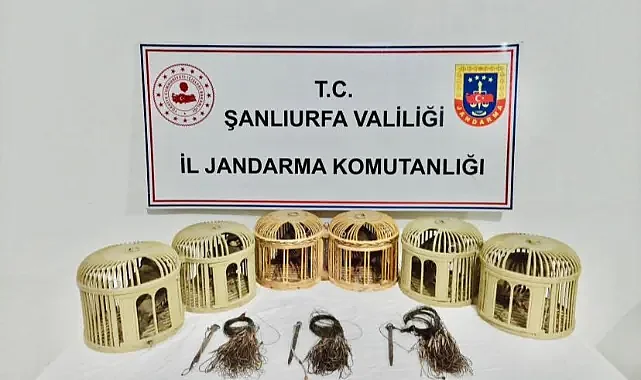 Şanlıurfa'da kaçak avcılarına operasyon: 3 gözaltı