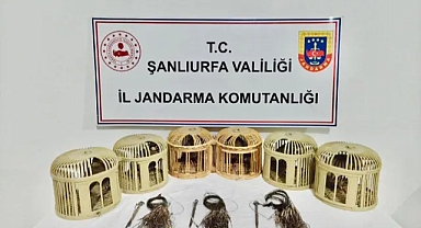 Şanlıurfa'da kaçak avcılarına operasyon: 3 gözaltı