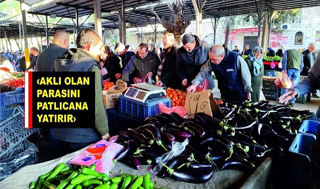 Şanlıurfa'da Patlıcan altınla yarışıyor