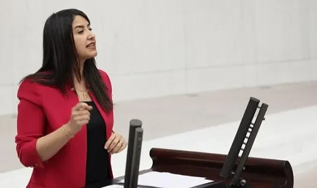 Şanlıurfa'daki hastaların sorunları TBMM'ye taşındı