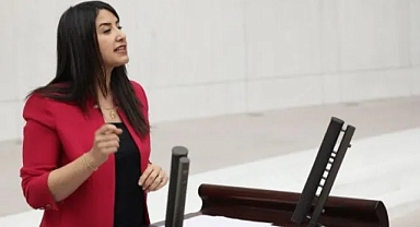 Şanlıurfa'daki hastaların sorunları TBMM'ye taşındı