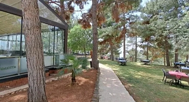 Şanlıurfa’nın orman varlığı için topyekün seferberlik şart