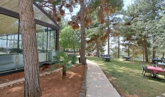 Şanlıurfa’nın orman varlığı için topyekün seferberlik şart