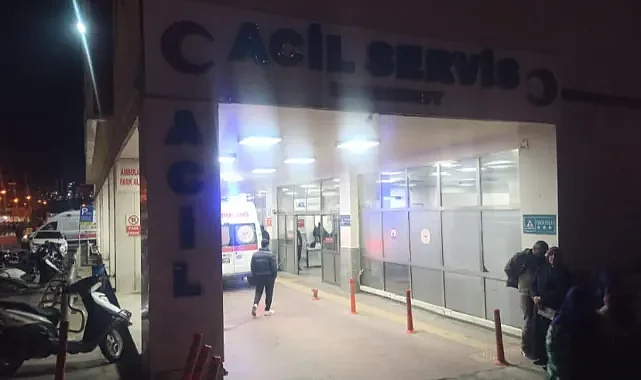 Yolun karşısına geçmeye çalışan adamın feci ölümü