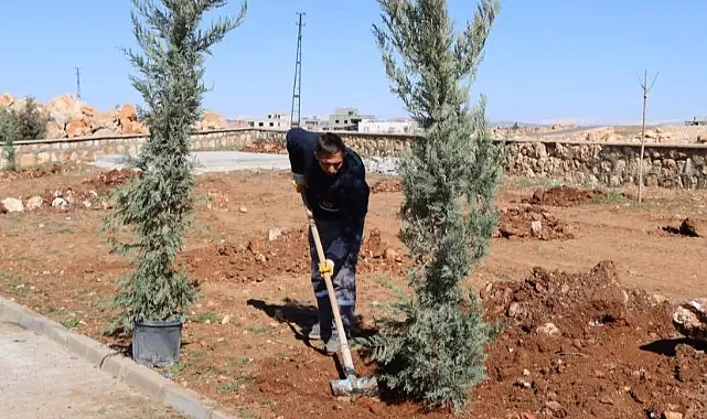 Yukarıgöklü kent parkı yeşile bürünüyor