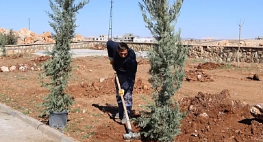 Yukarıgöklü kent parkı yeşile bürünüyor