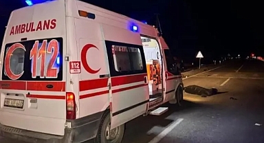 Akaryakıt yüklü TIR devrildi: Sürücü hayatını kaybetti