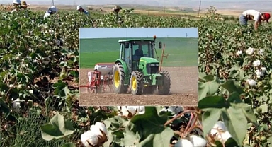 Bahar yağışları, pamuk ekimini geciktirdi