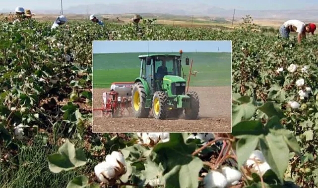 Bahar yağışları, pamuk ekimini geciktirdi
