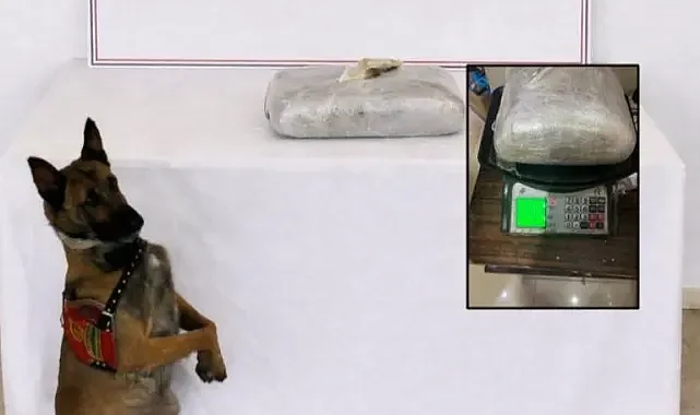 Birecik’te 1 kilo esrar ele geçirildi