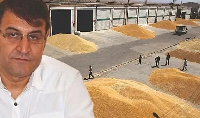 'Ek destek olursa Şanlıurfa buğdayda rekor kırar'