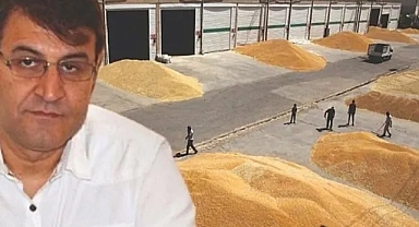 'Ek destek olursa Şanlıurfa buğdayda rekor kırar'