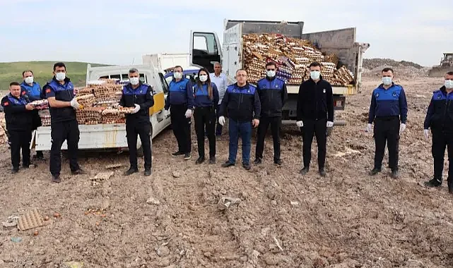 Haliliye’de sağlıksız depoya baskın: 5 bin koli yumurta imha edildi