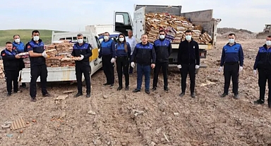 Haliliye’de sağlıksız depoya baskın: 5 bin koli yumurta imha edildi