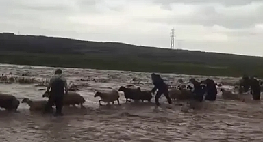 İtfaiye, mahsur kalan çoban ve 40 koyunu kurtardı