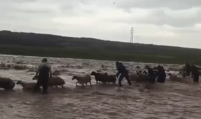 İtfaiye, mahsur kalan çoban ve 40 koyunu kurtardı