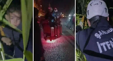 Kayalıklarda mahsur kalan iki kardeş kurtarıldı