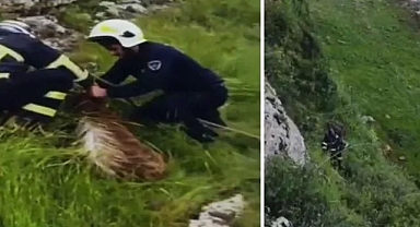 Keçilerin yardımına itfaiye yetişti