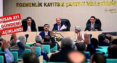 Şanlıurfa Büyükşehir Belediye Meclisi toplanıyor