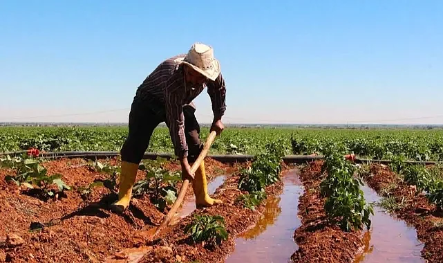 Şanlıurfa çiftçisine hibe müjdesi
