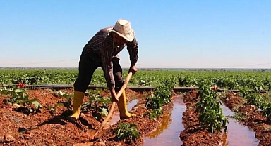 Şanlıurfa çiftçisine hibe müjdesi