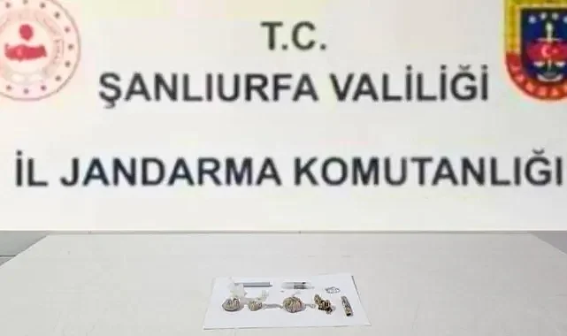 Şanlıurfa’da 9 şüpheli hakkında işlem başlatıldı