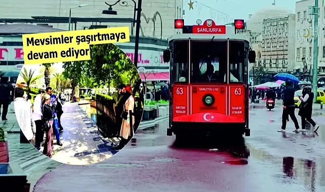 Şanlıurfa'da dün bahardı, bugün kış