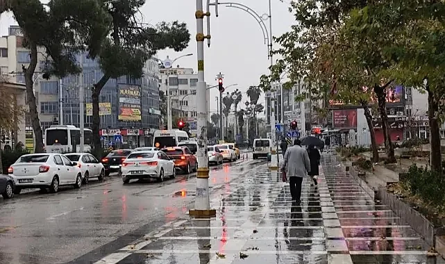 Şanlıurfa'da son 30 yılın en bereketli baharı yaşanıyor