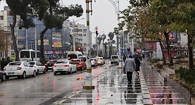 Şanlıurfa'da son 30 yılın en bereketli baharı yaşanıyor