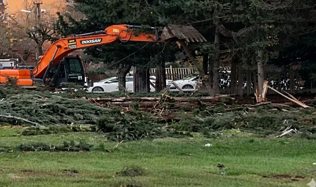 ŞBB'den 'Ağaç katliamı' açıklaması