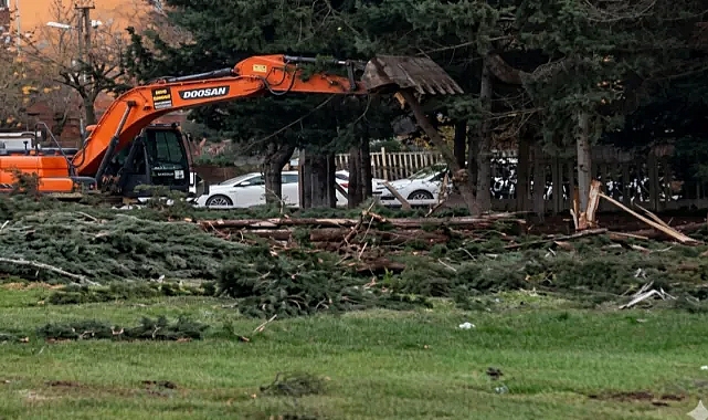 ŞBB'den 'Ağaç katliamı' açıklaması
