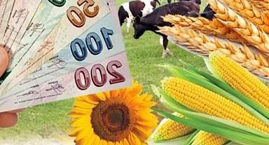 Tarım Bakanından Şanlıurfalı çiftçilere müjde