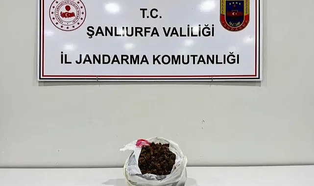 Viranşehir’de operasyon: 2 gözaltı