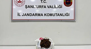 Viranşehir’de operasyon: 2 gözaltı