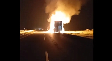 Viranşehir–Şanlıurfa yolunda tır alevlere teslim oldu