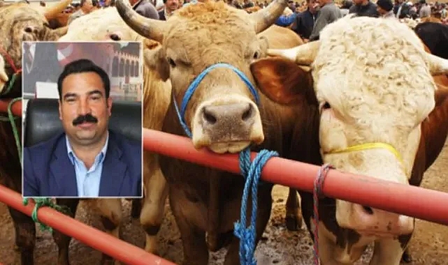 Çiftçi: Geçen yıla göre yüzde 50 artış var