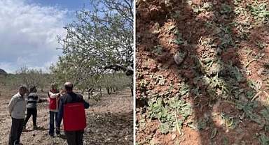 Şanlıurfa'da hasar tespit çalışmaları sürüyor