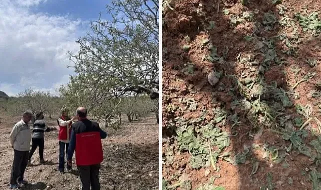 Şanlıurfa'da hasar tespit çalışmaları sürüyor