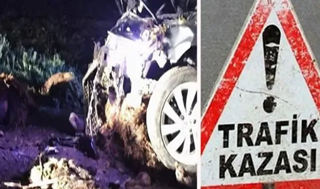 Şanlıurfa'daki kazada 20 koyun telef oldu
