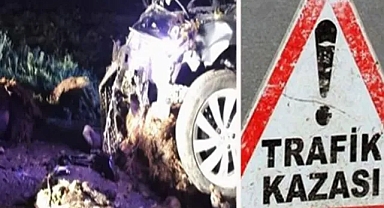 Şanlıurfa'daki kazada 20 koyun telef oldu