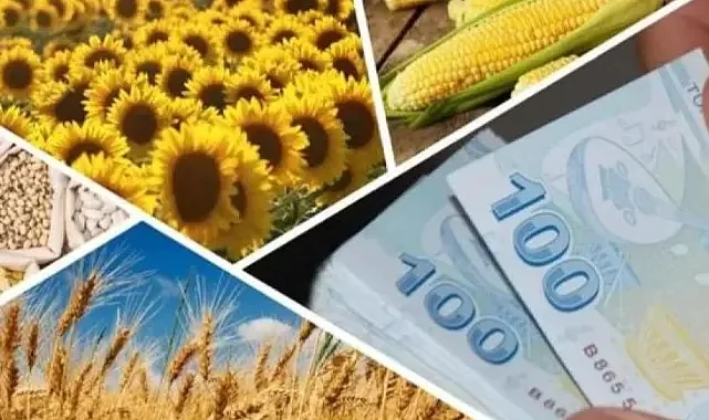 Şanlıurfalı çiftçilere 'destekleme' müjdesi