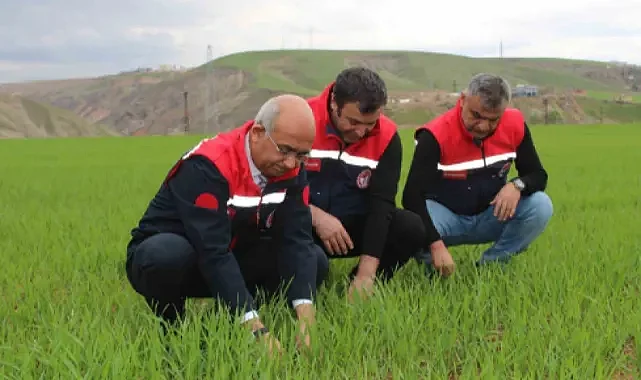 Yazın gecikmesi çiftçileri endişelendiriyor