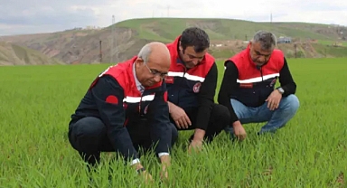 Yazın gecikmesi çiftçileri endişelendiriyor